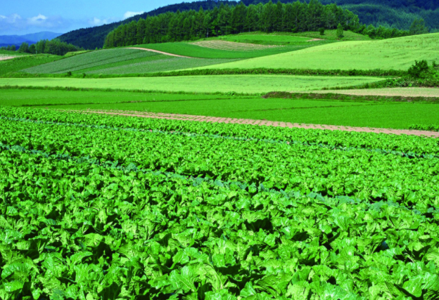 土壤養分分分析儀，提高作物產量，確保糧食安全！